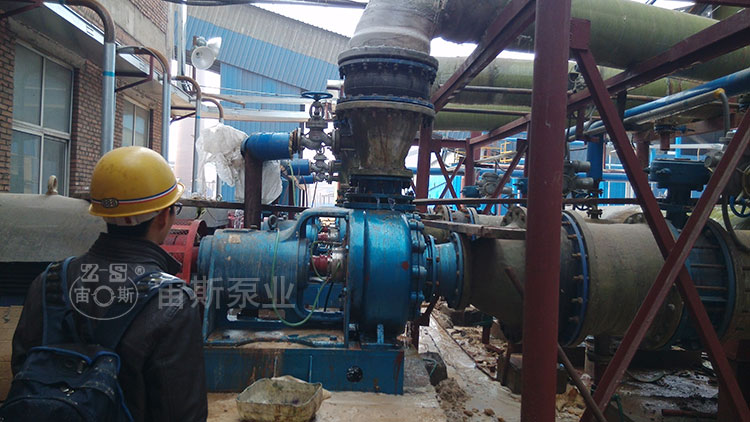 DN250脫硫循環(huán)泵配雙端面機械密封在鋼鐵廠應(yīng)用